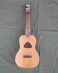 T_V concert uke