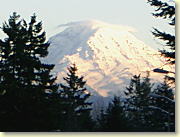 Mt.Rainer/Takoma Fuji