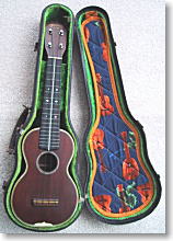 ukulele cushion1