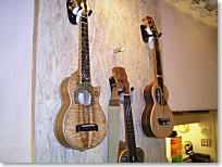 ukulele & Garden OHANA img