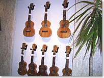 ukulele & Garden OHANA img