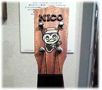 nico head